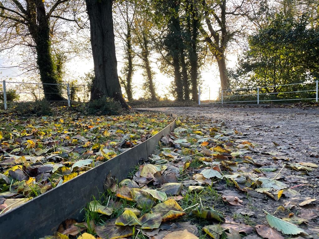 Steel Driveway Edging by trees and fallen leaves