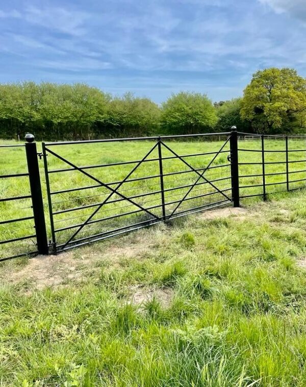 Equestrian Gate with fencing