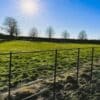 Estate Fencing on a grassy field under blue skies and a glowing sun